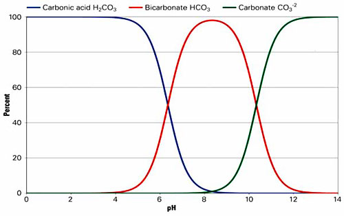 alkalinity of water in